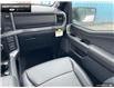 2025 Ford F-150 XLT (Stk: 5F164366) in Brantford - Image 22 of 22