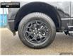 2025 Ford F-150 Lightning XLT (Stk: 5F103582) in Brantford - Image 6 of 22
