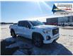 2022 GMC Sierra 1500 Limited AT4 (Stk: 44170A) in Fairview - Image 1 of 30