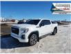 2022 GMC Sierra 1500 Limited AT4 (Stk: 44170A) in Fairview - Image 13 of 30