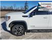 2022 GMC Sierra 1500 Limited AT4 (Stk: 44170A) in Fairview - Image 17 of 30
