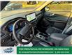 2024 Ford Escape ST-Line (Stk: TL36096) in Windsor - Image 11 of 17
