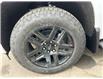 2025 Chevrolet Silverado 1500 RST (Stk: CS154) in High River - Image 6 of 6