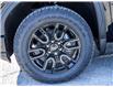 2025 GMC Sierra 1500 Elevation (Stk: 17799) in Casselman - Image 19 of 24