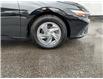 2024 Hyundai Elantra ESSENTIAL (Stk: 250320) in Ottawa - Image 21 of 21