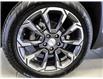 2025 GMC Terrain Elevation (Stk: SG34221) in St. Marys - Image 6 of 22