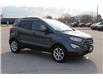 2018 Ford EcoSport SE (Stk: MA2411A) in Harrow - Image 3 of 13