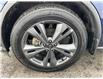 2023 Nissan Murano Platinum (Stk: 250275) in Kingston - Image 22 of 22