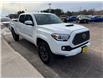 2022 Toyota Tacoma Base (Stk: 24340) in Pembroke - Image 6 of 17