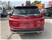 2020 Honda CR-V Touring (Stk: 12418A) in Brockville - Image 14 of 17