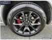 2024 Dodge Durango SRT Hellcat (Stk: 245100) in Langley BC - Image 6 of 25