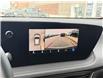 2025 Buick Encore GX Preferred (Stk: 05287) in Carleton Place - Image 19 of 21