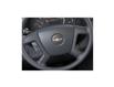 2025 Chevrolet Express 3500 LT (Stk: LCEX00299) in Tilbury - Image 19 of 24