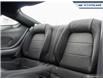 2025 Ford Mustang EcoBoost (Stk: 25MU155) in Newmarket - Image 24 of 28