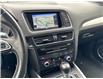2015 Audi SQ5 3.0T Technik (Stk: 7448P) in Mono - Image 12 of 20