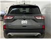 2022 Ford Escape PHEV SEL (Stk: 42296J) in Belleville - Image 6 of 28