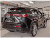 2022 Lexus NX 350 Base (Stk: PL25017) in Kingston - Image 7 of 17