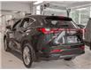 2022 Lexus NX 350 Base (Stk: PL25017) in Kingston - Image 4 of 17