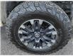 2018 Nissan Titan PRO-4X (Stk: 5T0147B) in Kamloops - Image 6 of 22
