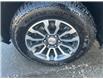 2021 GMC Sierra 1500 AT4 (Stk: 250159A) in Ottawa - Image 25 of 25
