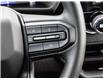 2025 Chevrolet Colorado Trail Boss (Stk: LCCL00303) in Tilbury - Image 19 of 27