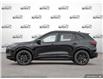 2025 Ford Escape ST-Line Elite (Stk: 25ES582) in St. Catharines - Image 3 of 24