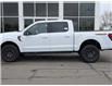 2025 Ford F-150 Tremor (Stk: 25089) in Claresholm - Image 2 of 20