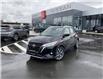 2023 Nissan Kicks SV (Stk: N25-0040P) in Chilliwack - Image 1 of 22