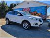 2019 Ford Escape SE in Sunny Corner - Image 1 of 15