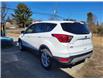 2019 Ford Escape SE in Sunny Corner - Image 4 of 15