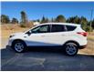 2019 Ford Escape SE in Sunny Corner - Image 5 of 15