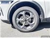 2025 Ford Escape ST-Line (Stk: 26965) in Dartmouth - Image 7 of 24