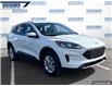 2021 Ford Escape SE (Stk: P2952L) in Dartmouth - Image 6 of 24