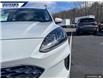 2021 Ford Escape SE (Stk: P2952L) in Dartmouth - Image 8 of 24