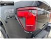 2025 Ford F-150 XLT (Stk: 5F159590) in Brantford - Image 9 of 23
