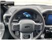 2025 Ford F-150 XLT (Stk: 5F159197) in Brantford - Image 11 of 22