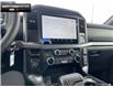 2025 Ford F-150 XLT (Stk: 5F159197) in Brantford - Image 16 of 22