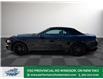 2019 Ford Mustang  (Stk: PR88892) in Windsor - Image 3 of 28
