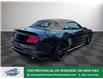 2019 Ford Mustang  (Stk: PR88892) in Windsor - Image 7 of 28