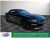 2019 Ford Mustang  (Stk: PR88892) in Windsor - Image 10 of 28