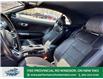 2019 Ford Mustang  (Stk: PR88892) in Windsor - Image 14 of 28
