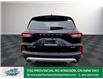 2025 Ford Escape Active (Stk: ES74617) in Windsor - Image 6 of 27