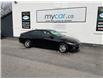 2024 Hyundai Elantra Preferred (Stk: 250252) in Kingston - Image 1 of 23
