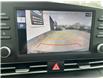 2024 Hyundai Elantra Preferred (Stk: 250252) in Kingston - Image 17 of 23