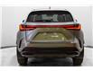 2025 Lexus NX 350h Base (Stk: 043383) in Brampton - Image 10 of 24