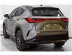 2025 Lexus NX 350h Base (Stk: 043383) in Brampton - Image 11 of 24