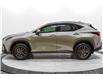 2025 Lexus NX 350h Base (Stk: 043383) in Brampton - Image 12 of 24