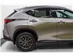 2025 Lexus NX 350h Base (Stk: 043383) in Brampton - Image 5 of 24