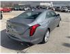 2021 Cadillac CT4 Premium Luxury (Stk: CM00167P) in Chatham - Image 6 of 25