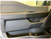 2025 Ford F-150 STX (Stk: 25LT30) in St.Paul - Image 6 of 10